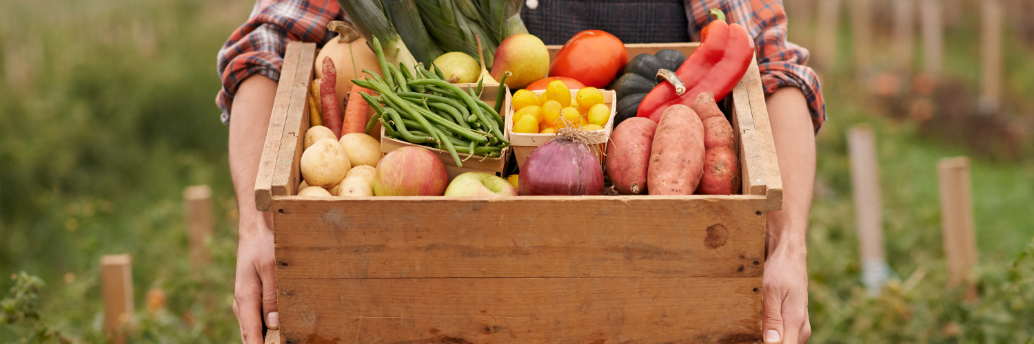 sezonski, lokalno, organski, jeftino povrće, pretplata, košarica, isplativo, najbolje