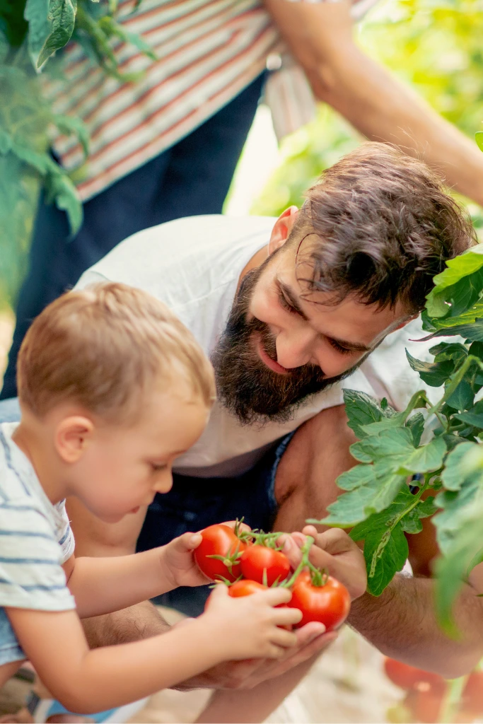 Obiteljski trenutak u stakleniku – otac pokazuje djetetu domaći paradajz, svježu hranu koja pomaže zdravlju i oporavku